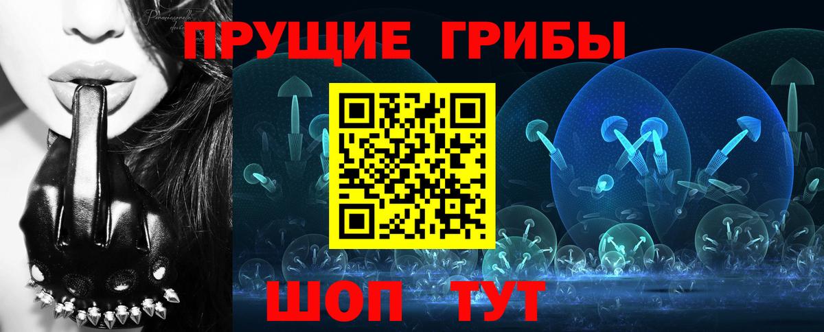 Егорьевск  Псилоцибиновые грибы ЛСД  что такое   Вход с VPN 
